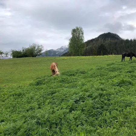 Sara * Bad Mitterndorf