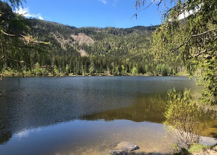 Sara Бад-Миттерндорф