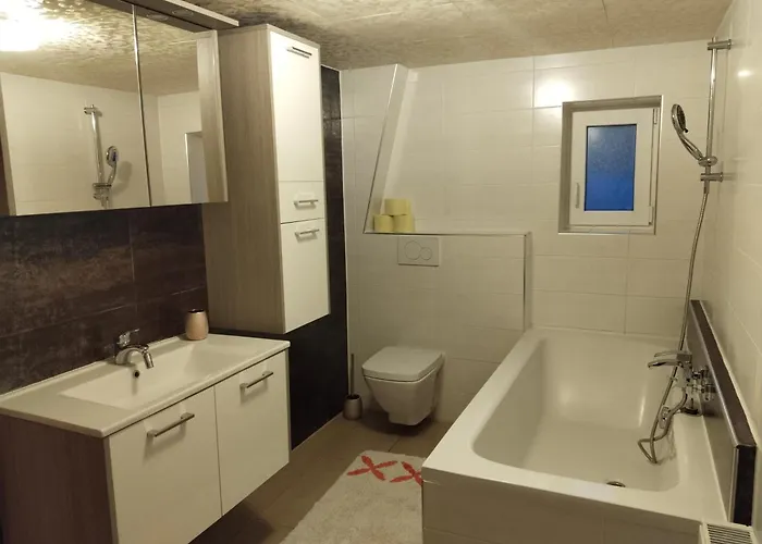 公寓 Sara 巴德米滕多夫