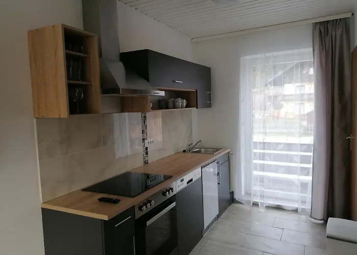 Sara 公寓 巴德米滕多夫